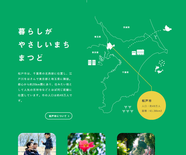 充满绿色的介绍